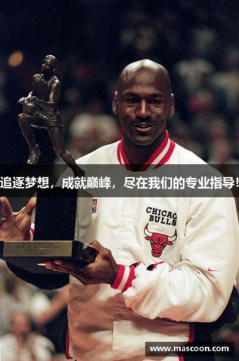 追逐梦想，成就巅峰，尽在我们的专业指导！